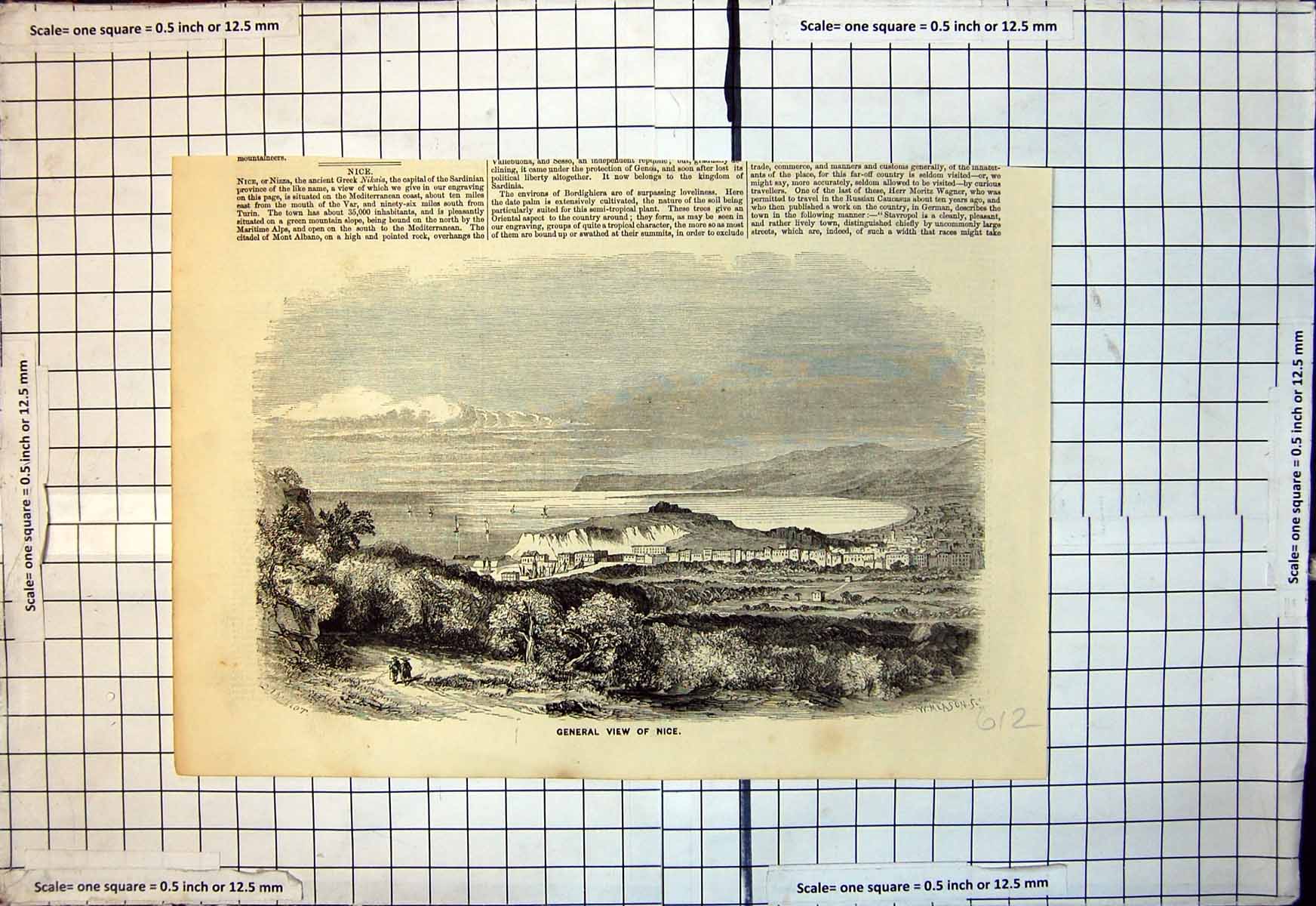 Antique Print General View Nice Situated Mediterranean Coast Maritime Alps