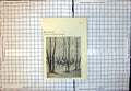 Antique Old Print Regiment Prussian Cuirassiers Horseback Woods Flags 1893 19th