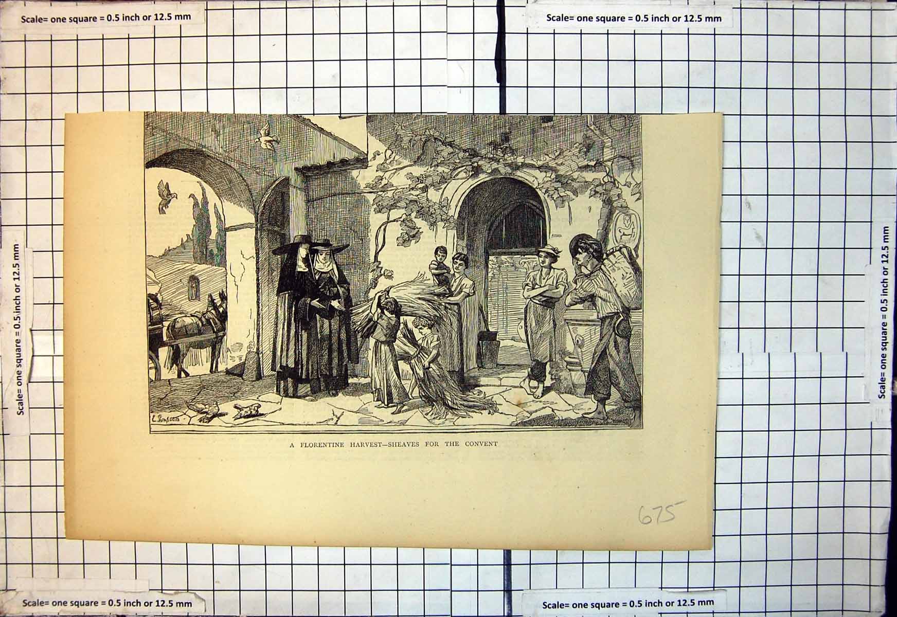 Old Antique Print Florentine Harvest Sheaves For Convent Nuns Collecting