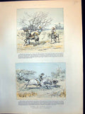 Antique Print Sport In South Africa Hunting Wildebeest Tangled In Tree 1891