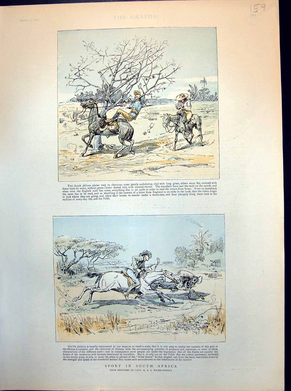 Antique Print Sport In South Africa Hunting Wildebeest Tangled In Tree 1891