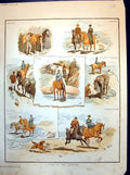 Antique Print A Ride In The Country Gallop On The Sands Horses Riders 1883 19th