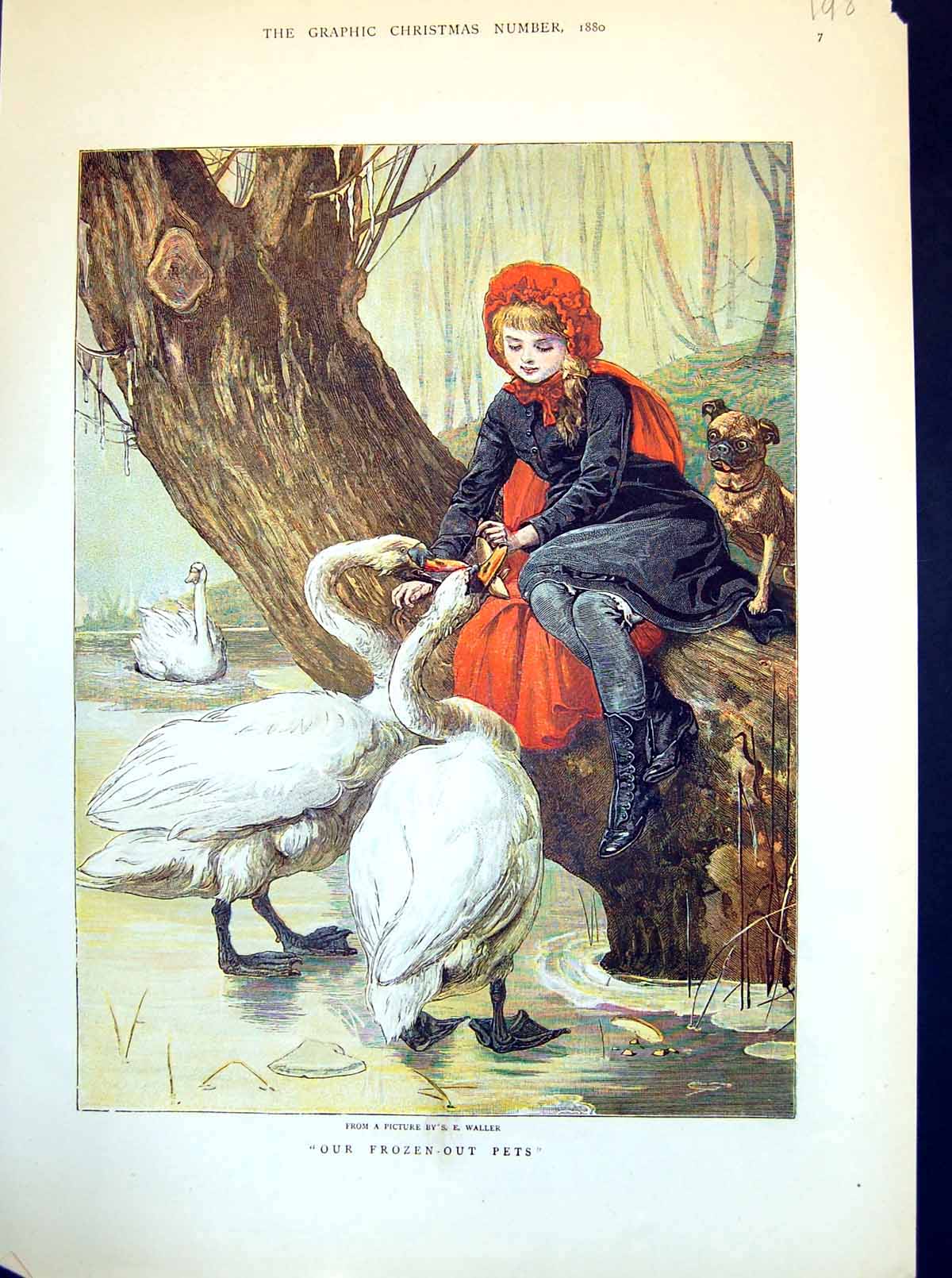 Antique Print Our Frozen Out Pets Girl Red Cape Feeding Swans Icy Lake 1880