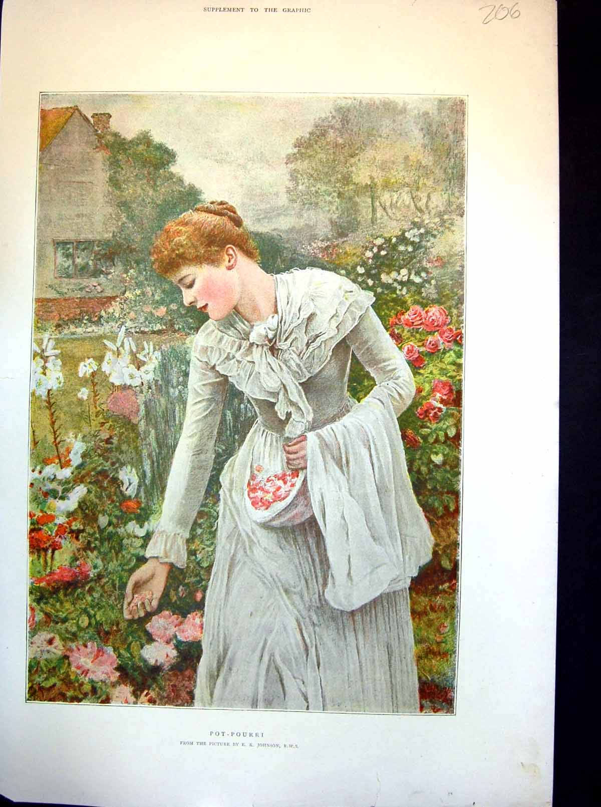 Antique Old Print Pot-Pourri Ek Johnson Lady Gathering Rose Petals Into Apron
