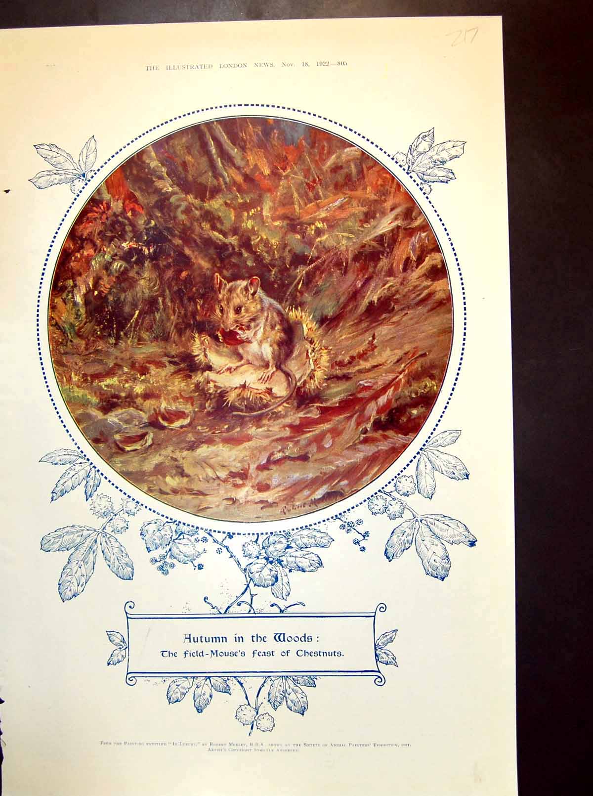 Old Vintage Print Autumn In The Woods Field Mouse'S Feast Chestnuts 1922 20th