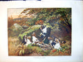 Antique Print Caught At Last Fox Hounds Woodland Rocks Autumn Colours 1885 19th