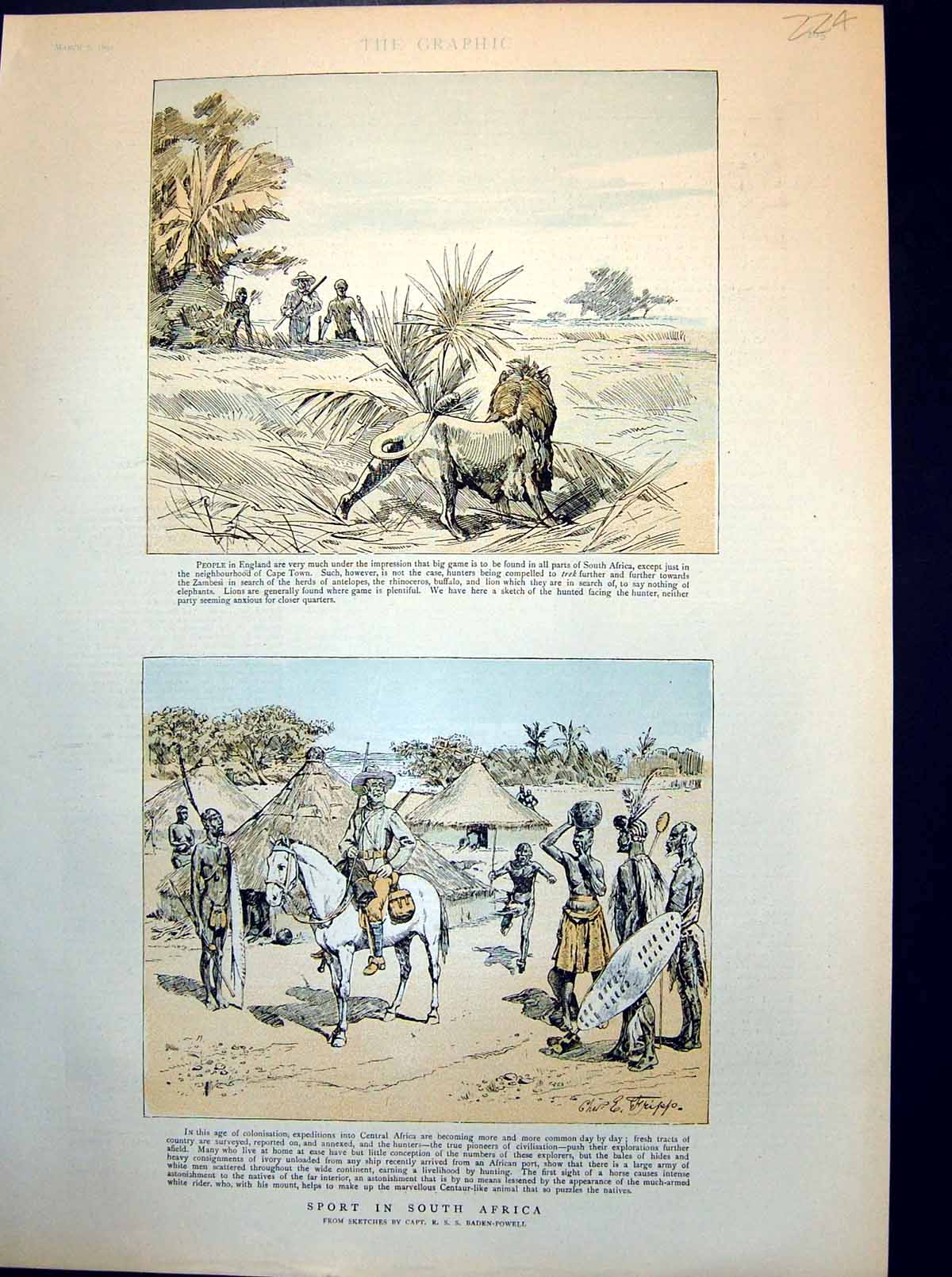 Old Antique Print Sport In South Africa Hunting Lion Village Natives 1891 19th