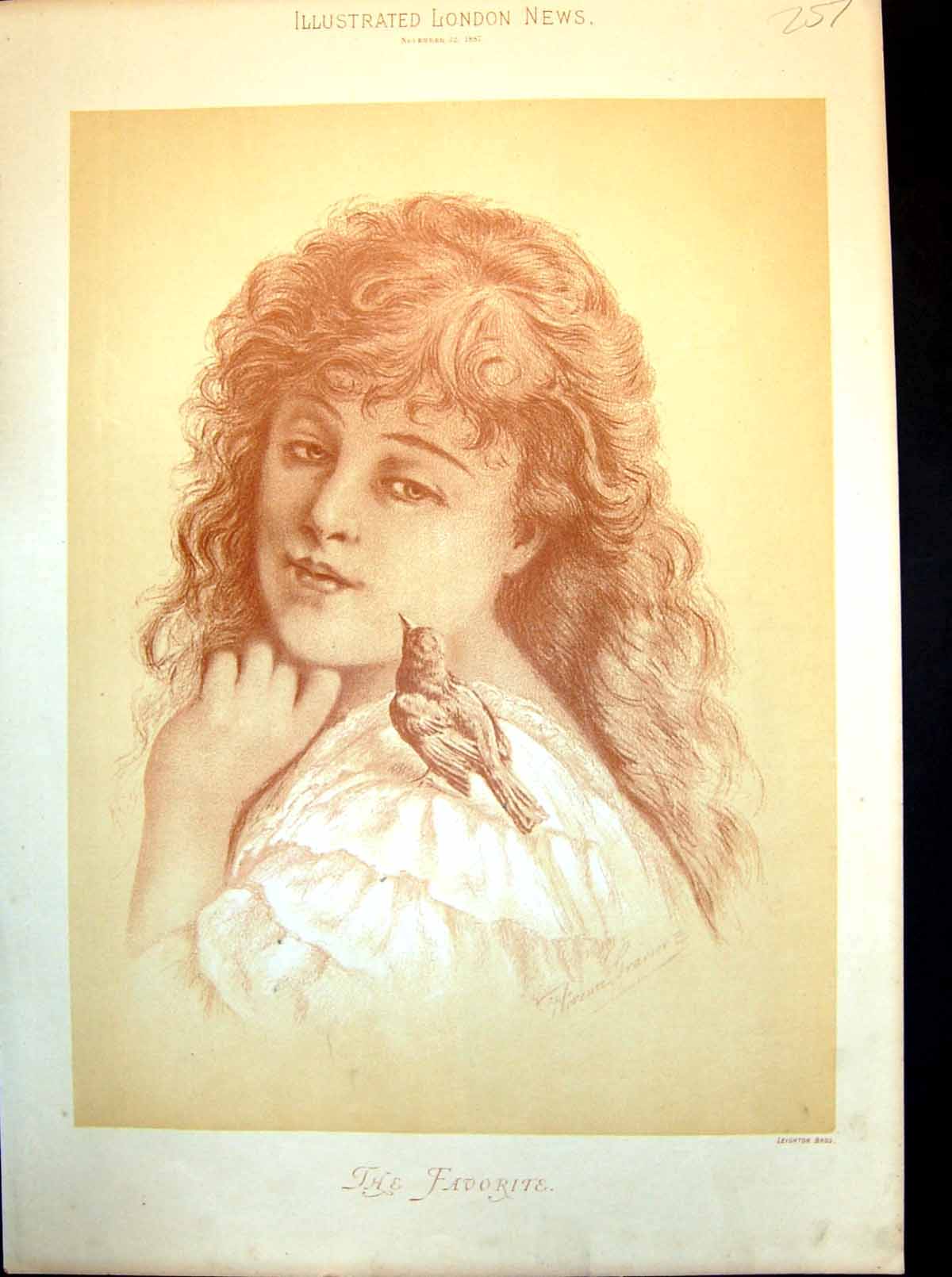 Antique Old Print The Favorite Little Bird Perched On Girl'S Shoulder 1887 19th