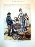 Old Print Arthur Hopkins Beauties Deep Fisherman Showing Catch Crabs 1882 19th