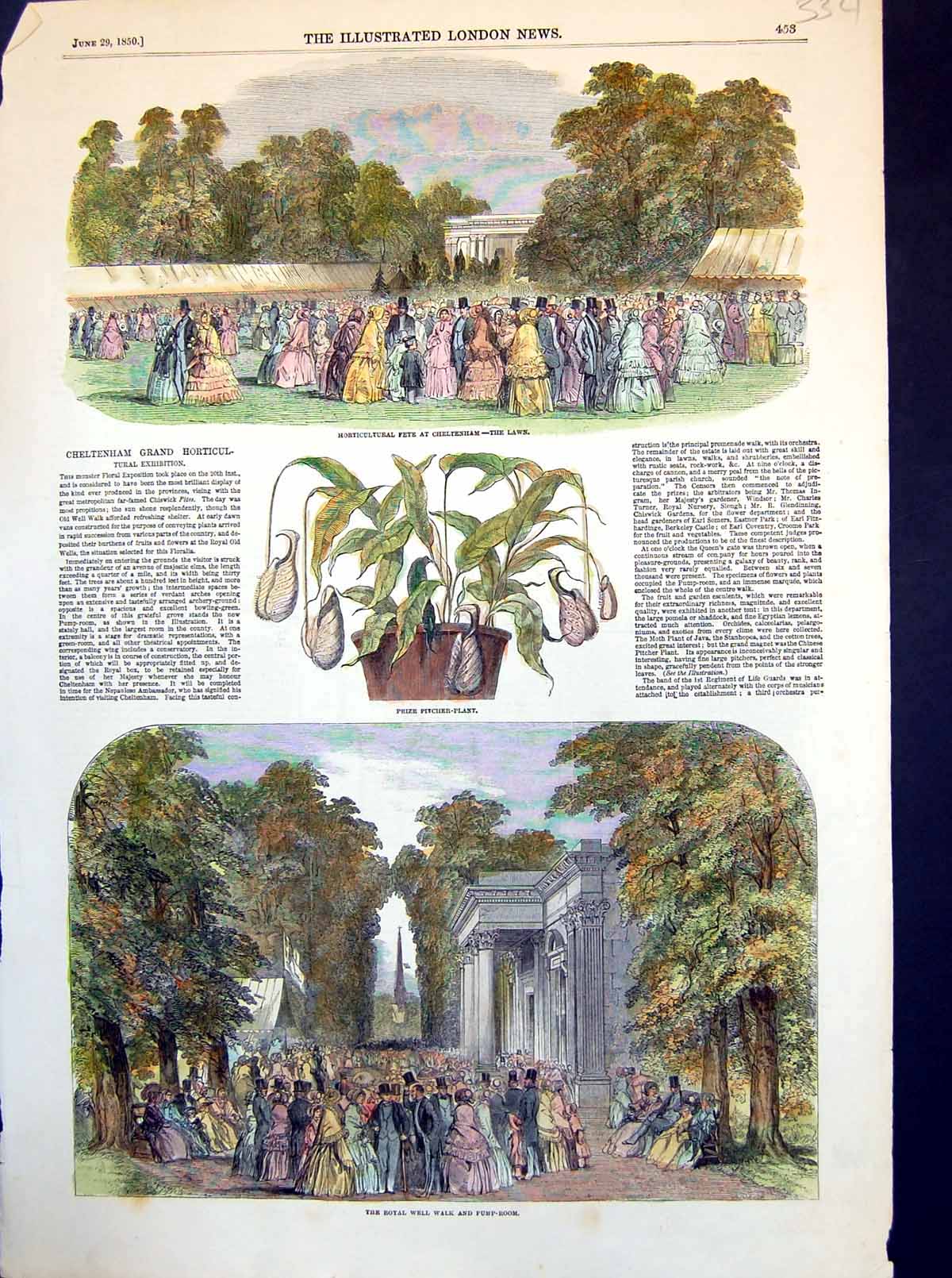 Antique Old Print Horticultural Fete Cheltenham Prize Pitcher Plant Lawn 1850