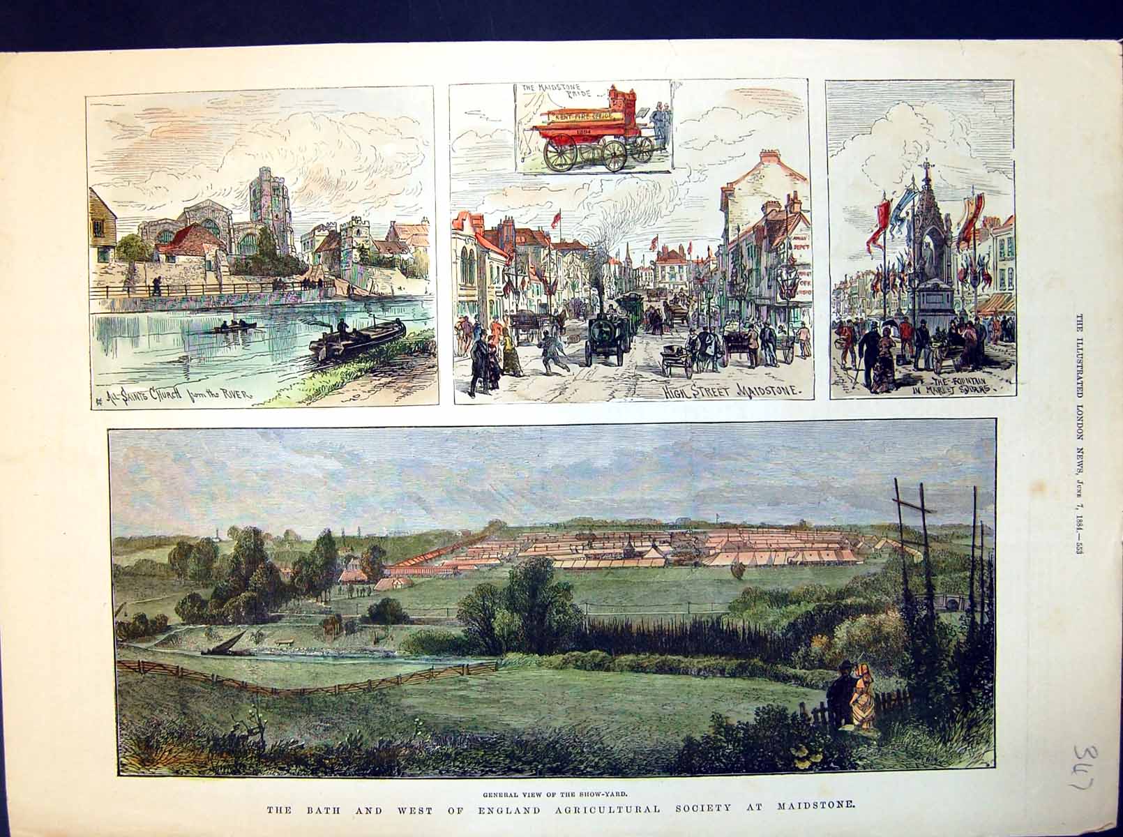 Old Print Bath And West England Agricultural Society Maidstone Show 1884 19th