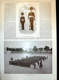 Antique Print Sier Bearskin Child Battalion Parade Present Regiment Types