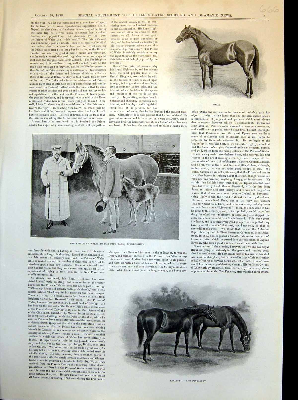 Old Antique Print Prince Wales Stud Farm Sandringham Persimmon Derby 1898 19th
