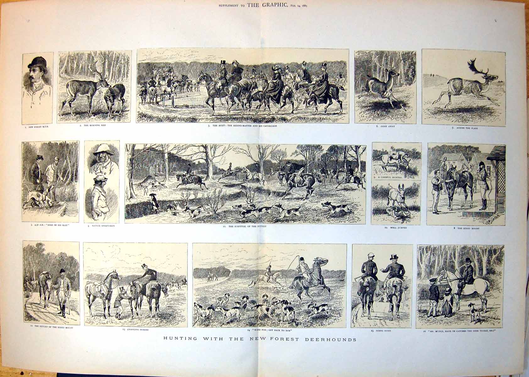 Antique Print Hunting With The New Forest Deerhounds Ladies Gentlemen 1885 19th