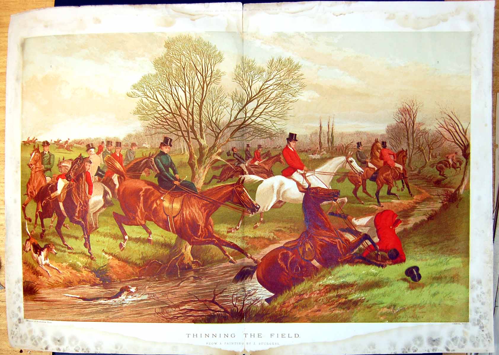Antique Print Thinning The Field Crossing Brook Hunters Horses Hounds 1881 19th