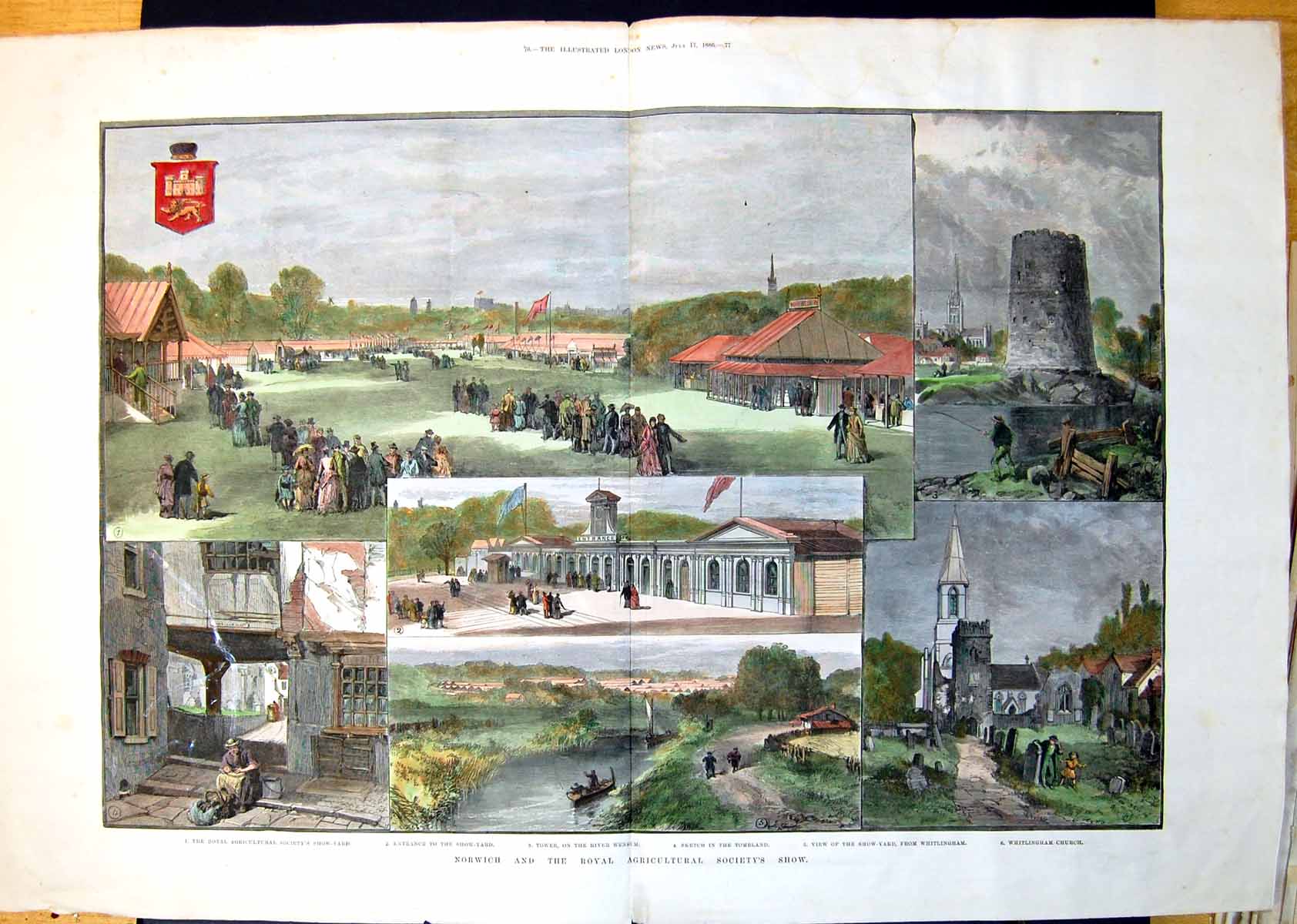 Old Antique Print Norwich Royal Agricultural Show Views Showground 1886 19th