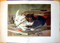 Antique Old Print Disagreement Over Paintbrush Two Kittens Paints Books 1891