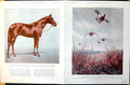 Antique Print Partridge Flight Solario Horse Weighing Room Hurst Park 1925 20th