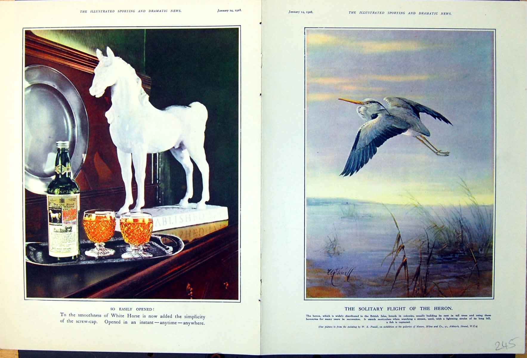 Old Print Flight Heron White Horse Advert Mighty Swordfish Breaking 1928 20th