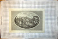 Antique Print Battle Cressy Crecy Mounted Charge Horseback Flags Lances 133J