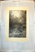 Old Print Valley Grose Nsw Australia Rocks Waterfall Trees River 1886 149J 19th