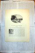 Old Print Trent Bridge Nottingham Riverside Walk People England Boats 181J 19th