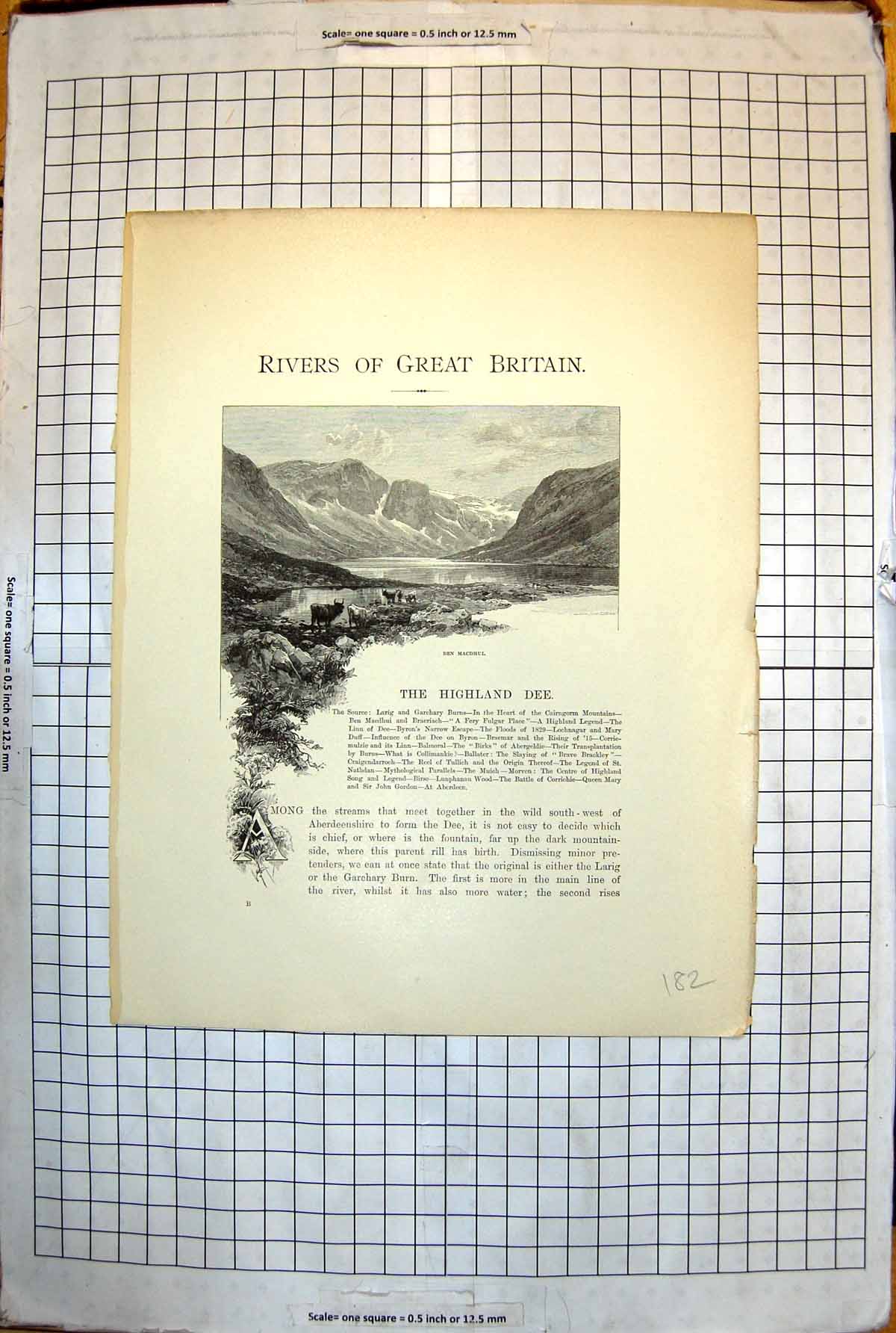 Old The Highland Dee Ben Macdhui Cattle Water'S Edge Loch Scotland 182J 19th