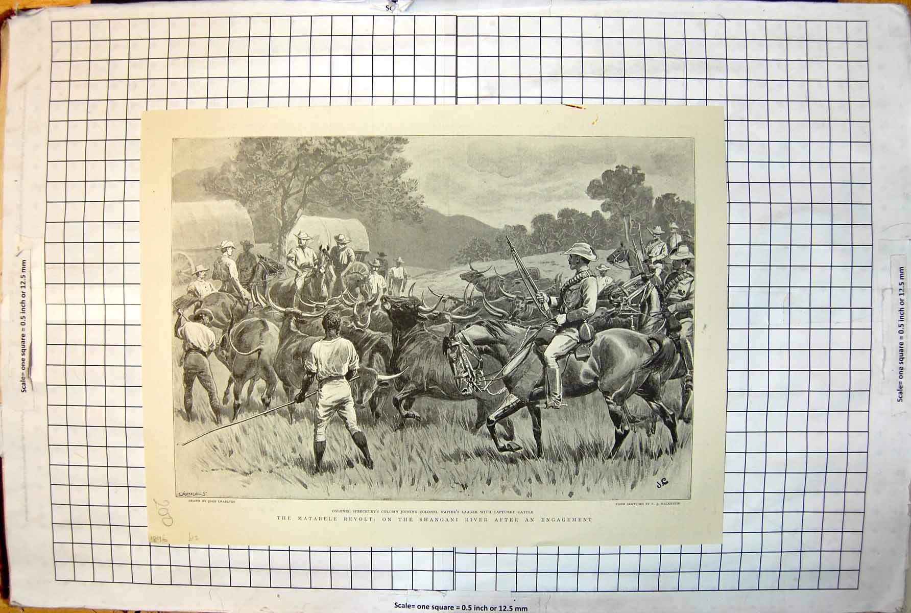 Old Print Matabele Revolt Shangani River After Engagement Cattle 1896 200J 19th
