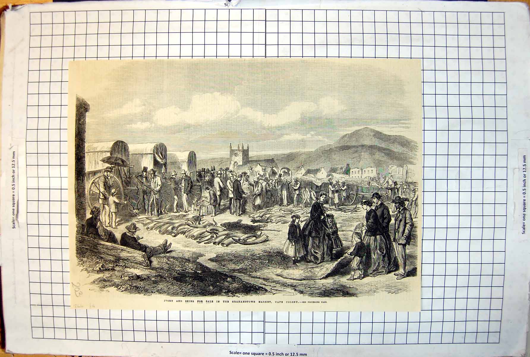Old Print Ivory Skins Sale Grahamstown Market Cape Colony Wagons 1866 203J 19th