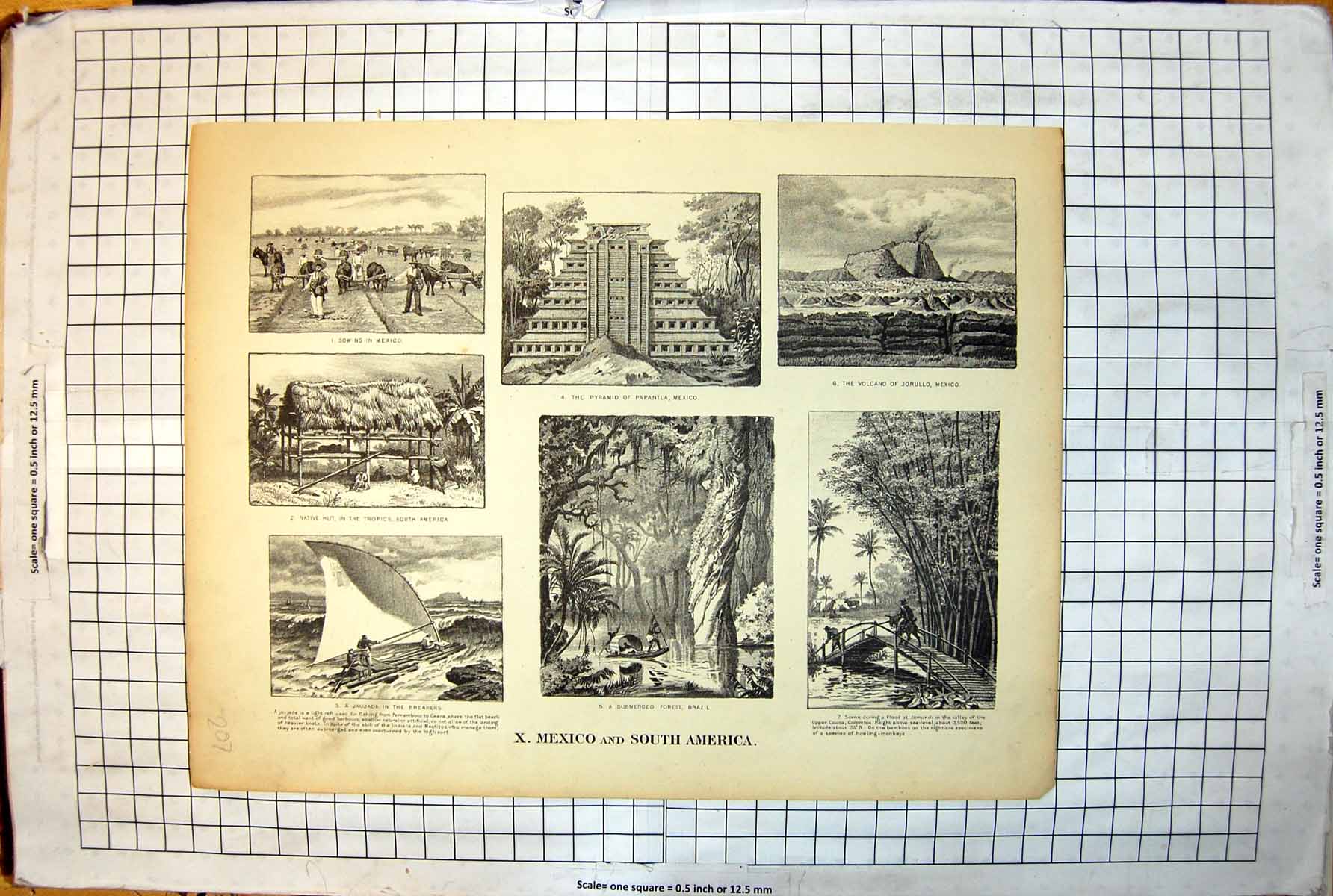 Old Mexico South America Sowing Crops Oxen Hut Forest Papantla 1889 207J 19th