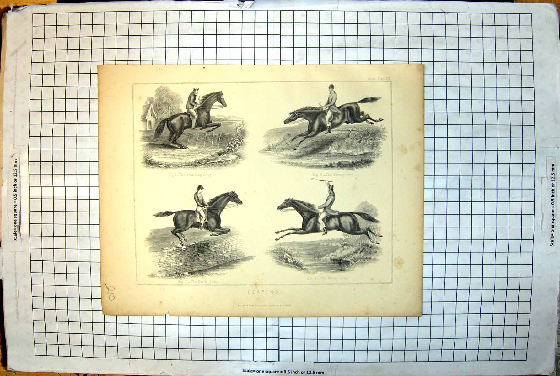 Old Horses Leaping Standing Leap Flying Buck Jump Water Leap Wall 210J