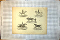 Old Print Paces Horse Trot Walk Lounging Colt Gallop Pacing American 211J