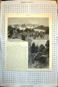 Old Sydney Australia Inner Domain Botanic Gardens Swans Lilypads 248J