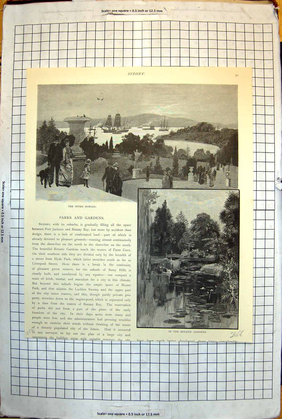 Old Sydney Australia Inner Domain Botanic Gardens Swans Lilypads 248J