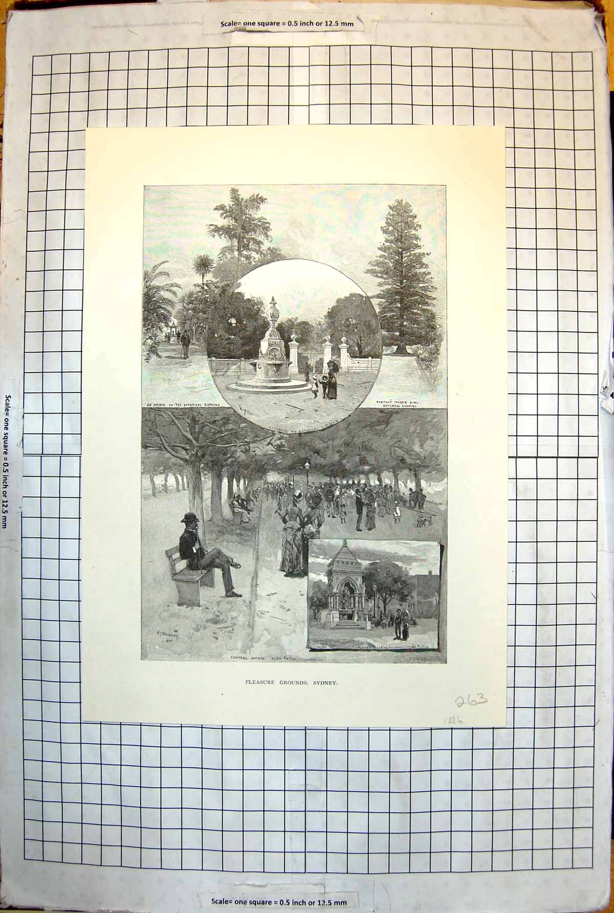 Old Pleasure Grounds Sydney Avenue Botanic Gardens Hyde Park 1886 263J Victorian