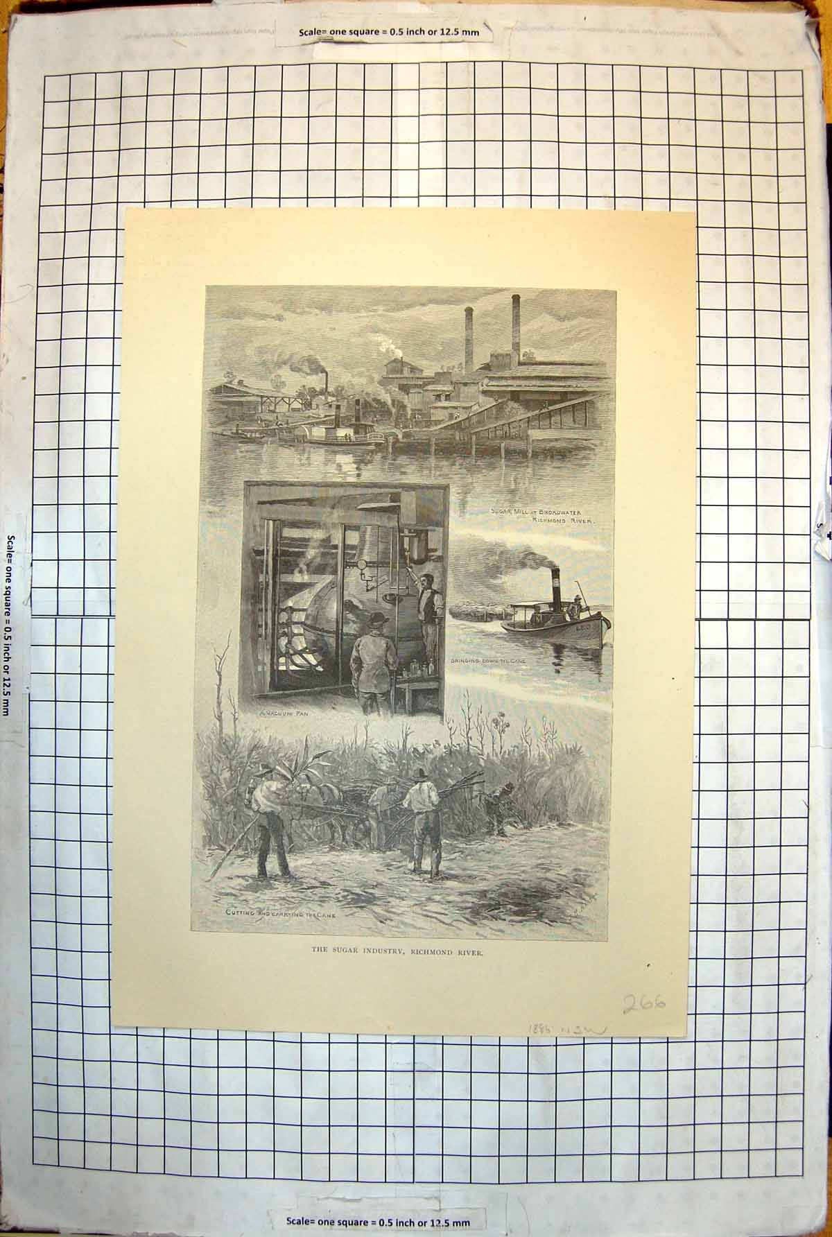 Old Sugar Industry Richmond River New South Wales Australia 1886 266J Victorian