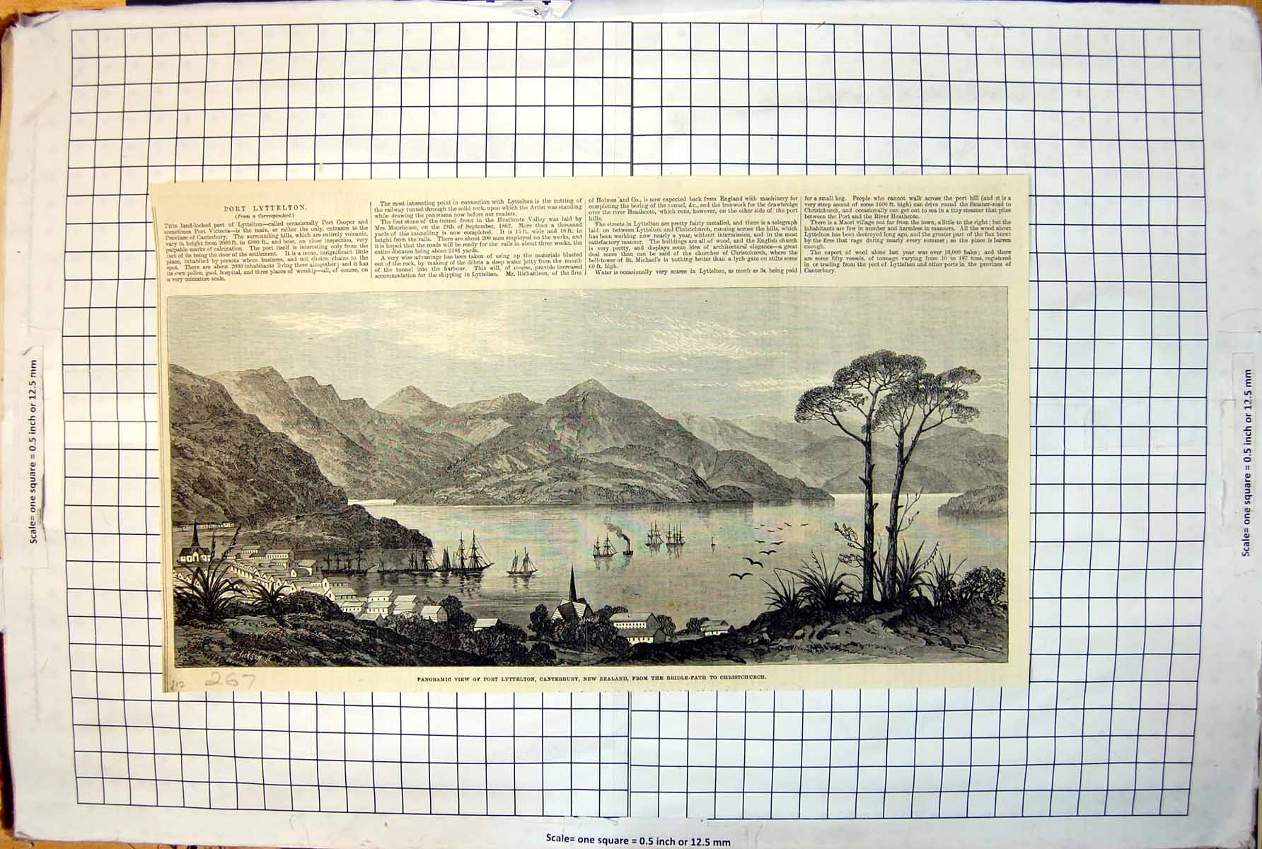 Old Print Panoramic View Port Lyttleton Canterbury New Zealand Ships 267J