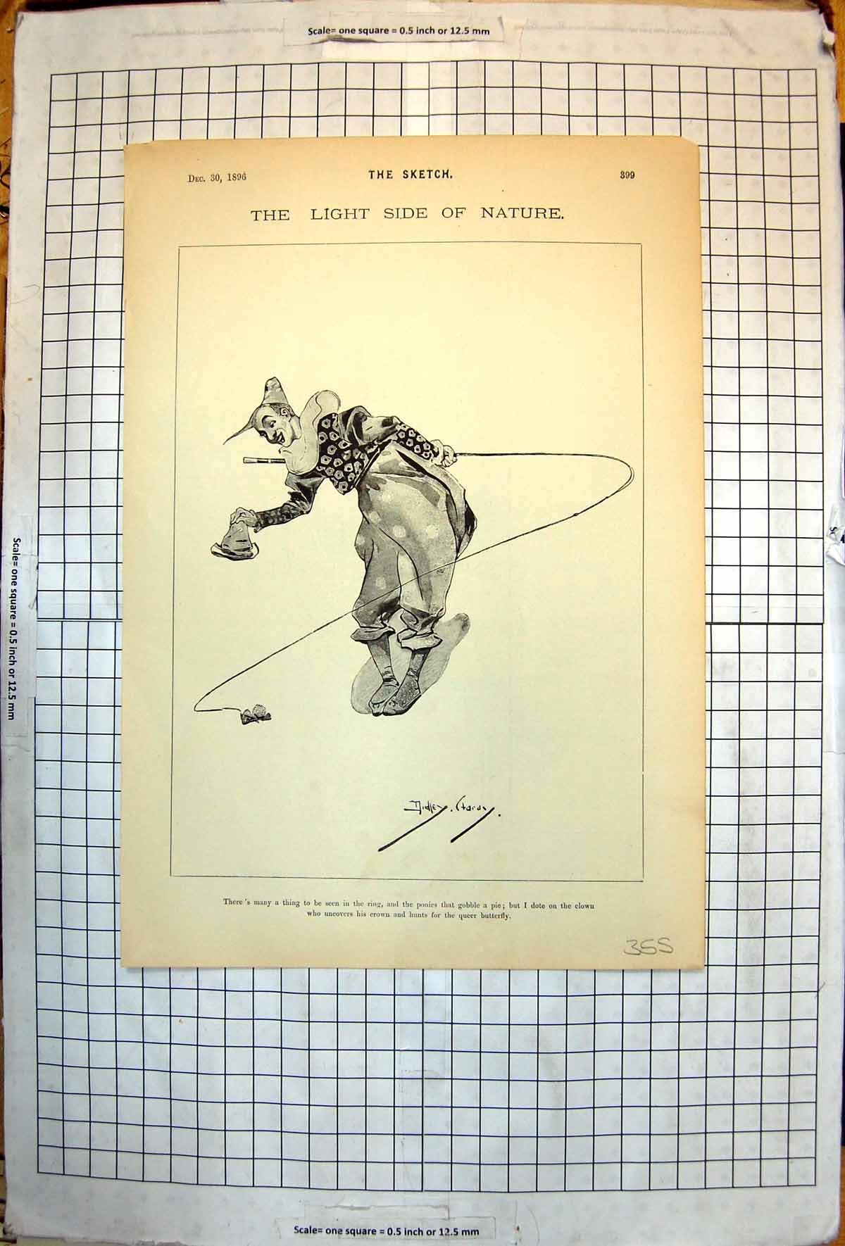 Antique Old Print Light Side Nature Sketch Clown Catching Fake Buttefly 1896