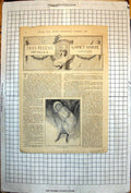 Antique Print Miss Peggy'S Proteges Illustrated F Newton Shepard Girl 1901 20th