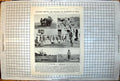 Old Print Stalking Driving Walking Barheads India Barredheaded Geese 1923 20th