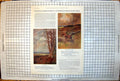 Old Scattered Scarlet Praise Hunting Field Fox Trees Horse Wall 1923 20th