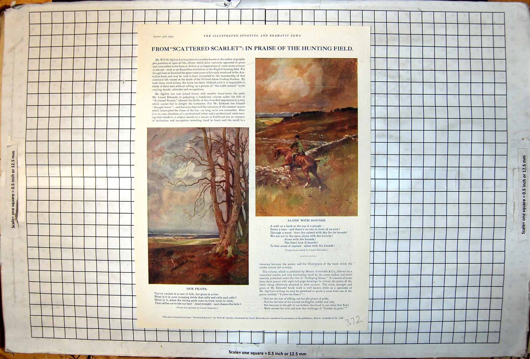 Old Scattered Scarlet Praise Hunting Field Fox Trees Horse Wall 1923 20th