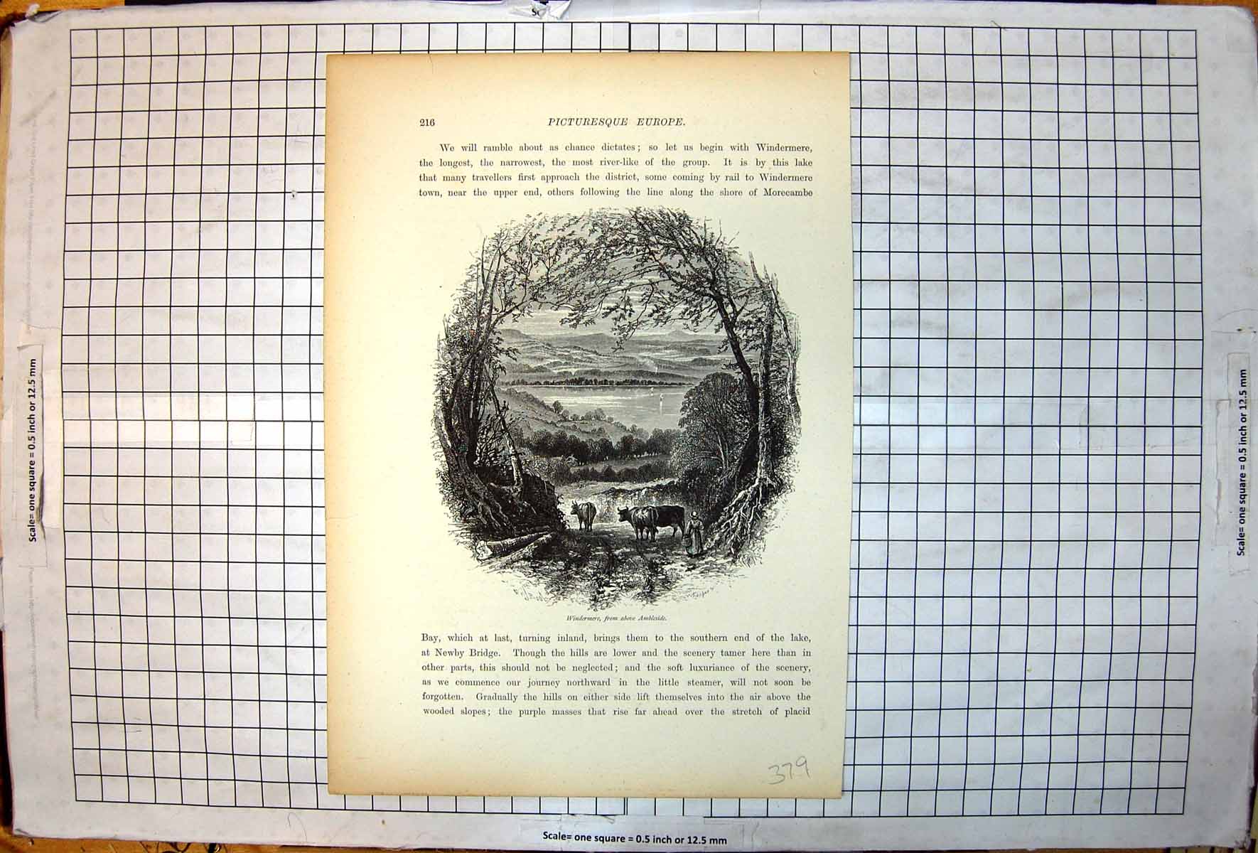 Antique Old Print Picturesque Europe Windermere Ambleside Lake Trees Cattle