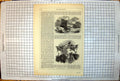Antique Print Covered Sail Boats Italian Lakes Cattle Different Breeds1853 19th