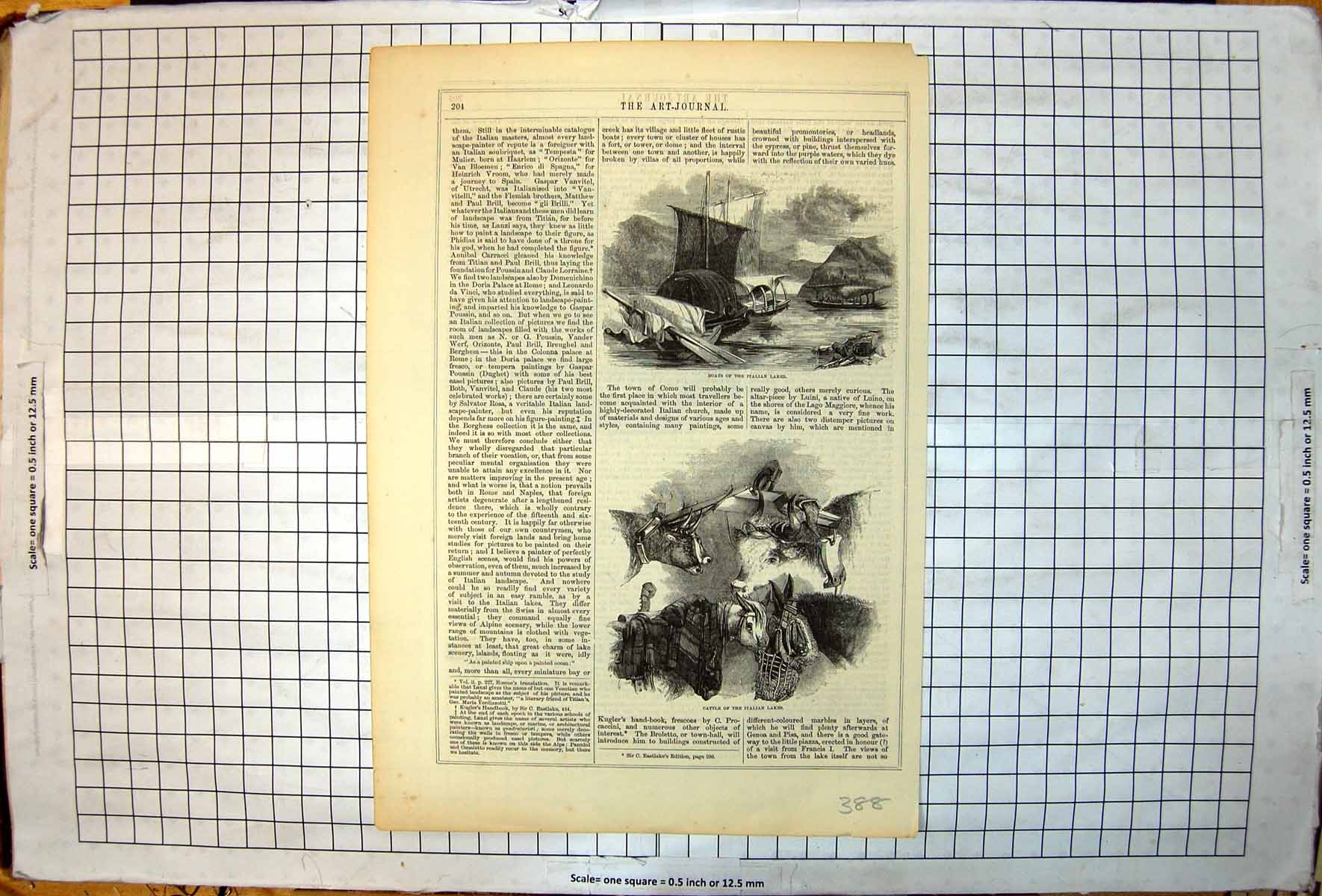 Antique Print Covered Sail Boats Italian Lakes Cattle Different Breeds1853 19th