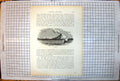 Antique Old Print Picturesque Europe Stromboli Volcano Venting Ash Sail Boat