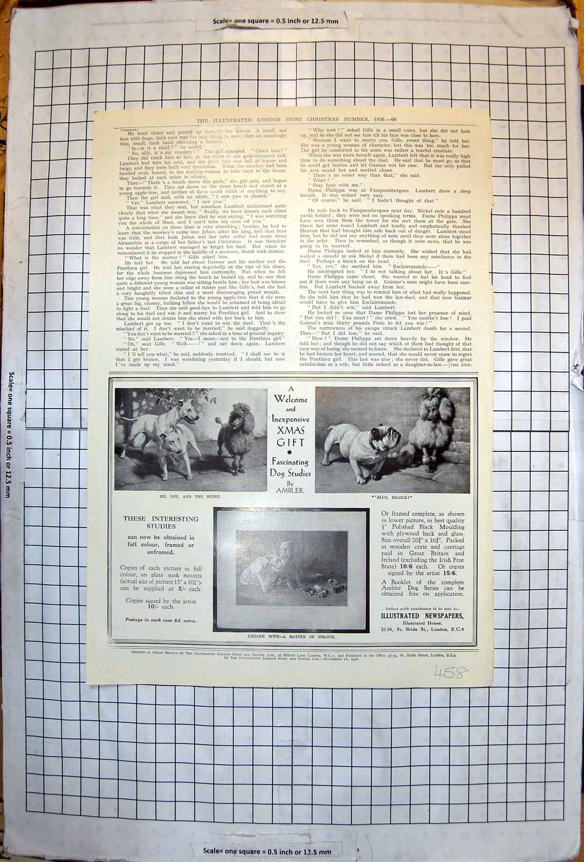Old Vintage Print Dog Studies By Ambler Advertisement Poodle Bulldog 1936 20th