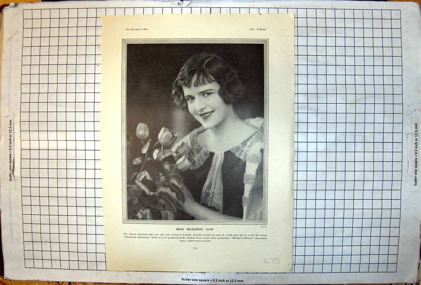 Old Miss Marjorie Daw Portrait Tulips American Film Star Slum Girl 1924 20th