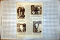 Antique Print Davis Cup Team Lord Kinnaird Rufford Point-To-Point Polo 1938
