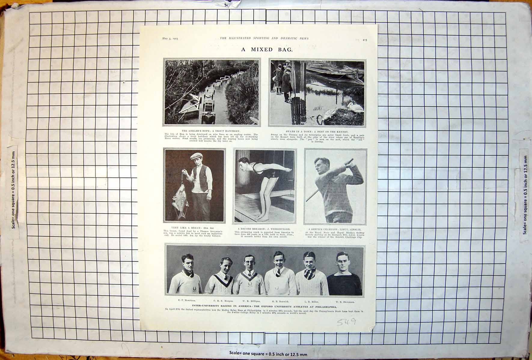 Antique Print Trout Hatchery Swans Kennet Bream J Weissmuller Swimmer 1923 20th